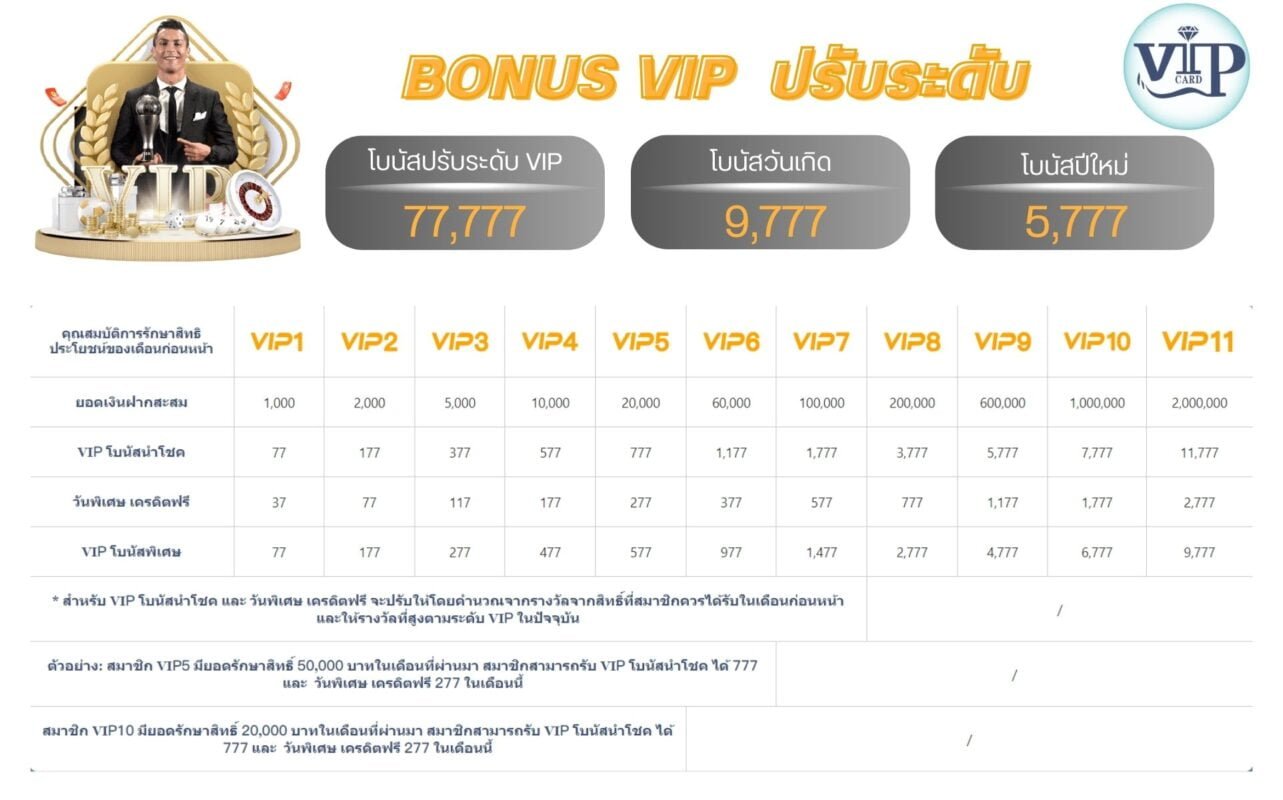 โปรแกรม VIP โบนัส
