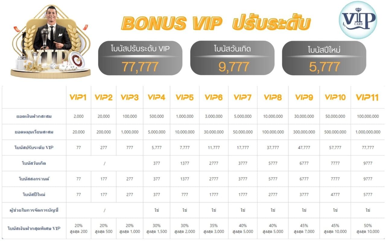 โปรแกรม VIP