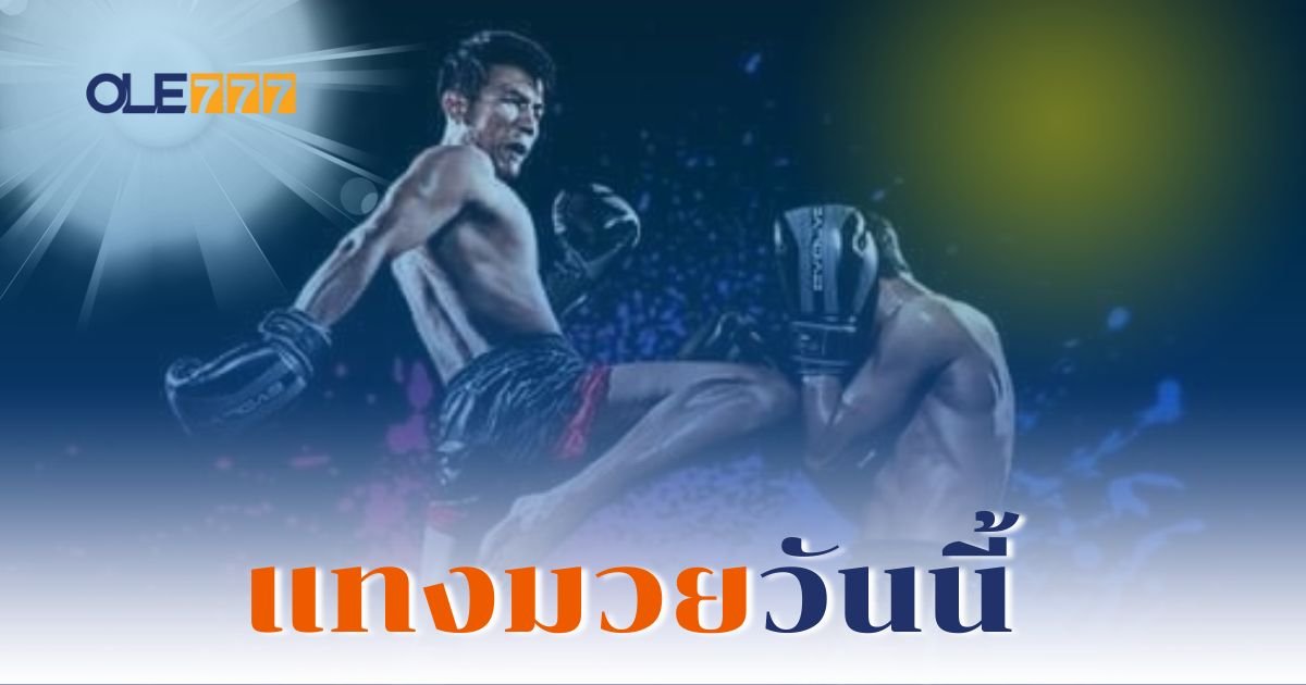 แทงมวยวันนี้ OLE777