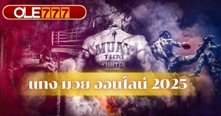 แทง มวย ออนไลน์ 2025
